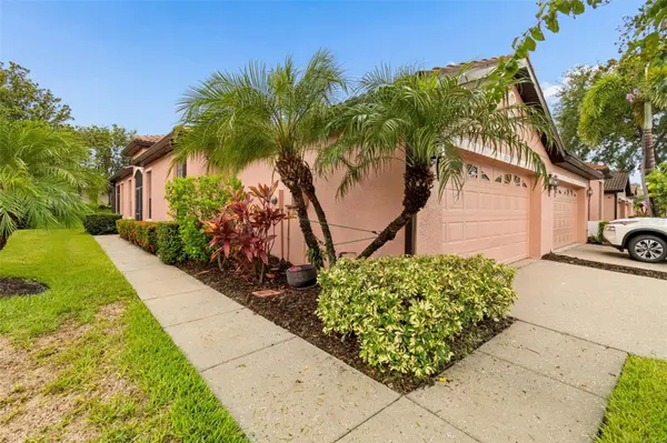 161 SHELL FALLS DR, Apollo Beach, FL 33572
