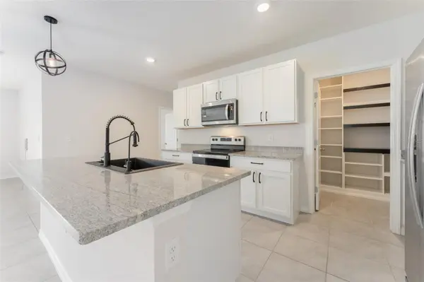 17031 BLISTER WING DR, Wimauma, FL 33598