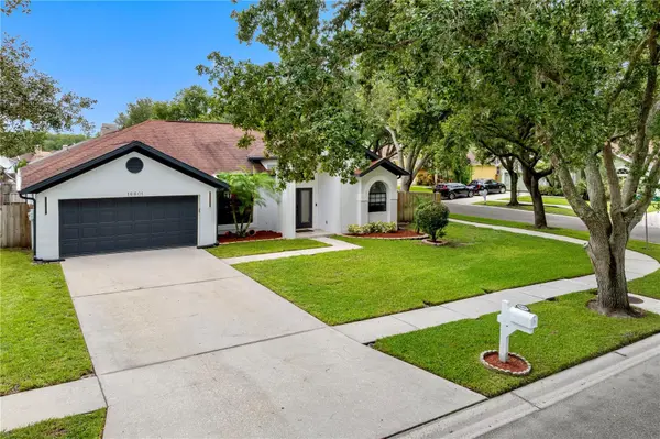 16601 MEADOW COVE ST, Tampa, FL 33624