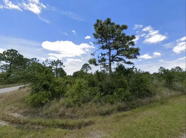 321 BELLANCA ST NW, Lake Placid, FL 33852