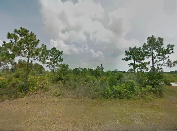 321 BELLANCA ST NW, Lake Placid, FL 33852