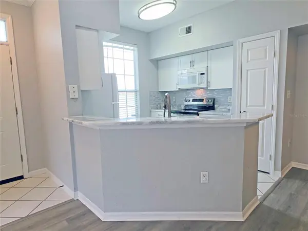 9018 LAKE CHASE ISLAND WAY #9018, Tampa, FL 33626