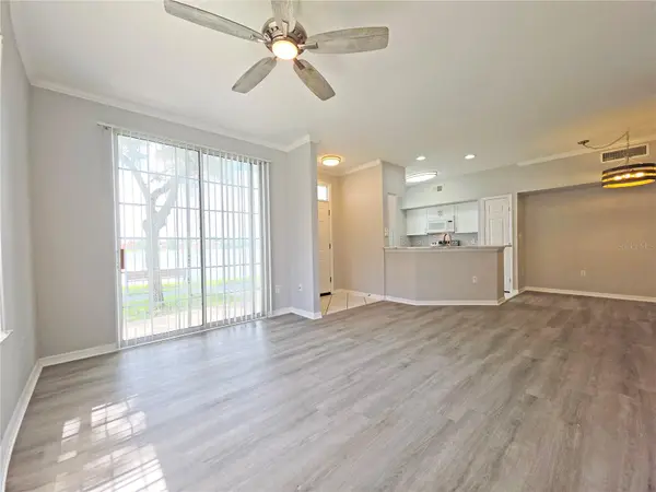 9018 LAKE CHASE ISLAND WAY #9018, Tampa, FL 33626