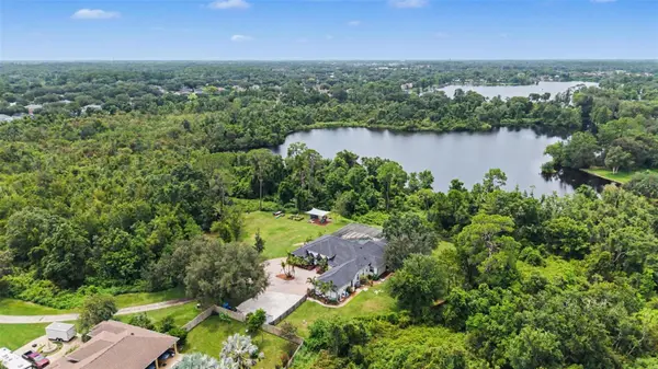 15532 LAKE GRACE DR, Odessa, FL 33556