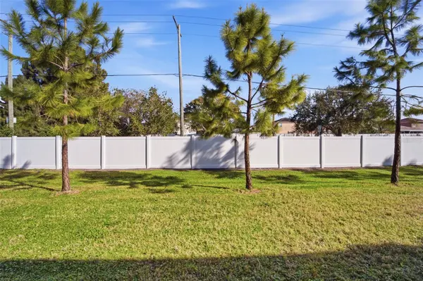 4459 GLOBE THISTLE DR, Tampa, FL 33619