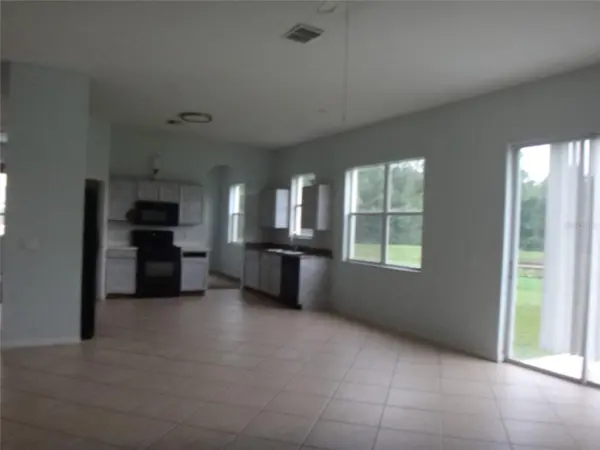 19939 TAMIAMI AVE, Tampa, FL 33647