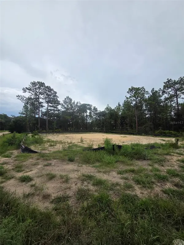 15326 MOTTLED OWL RD, Weeki Wachee, FL 34614