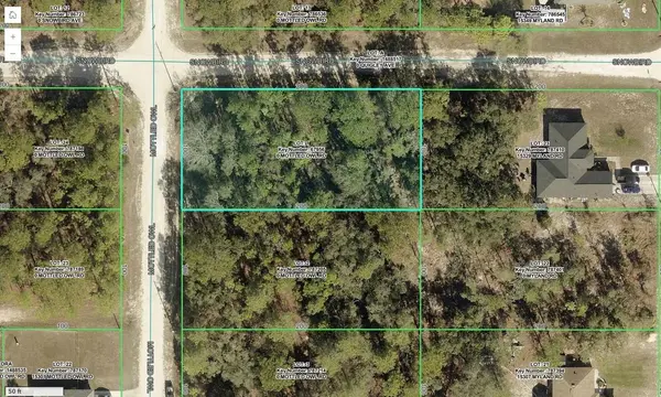 15326 MOTTLED OWL RD, Weeki Wachee, FL 34614
