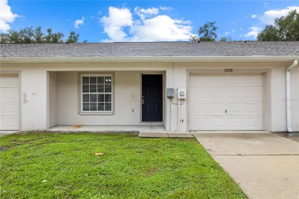 37228 GRASSY HILL LN, Dade City, FL 33525