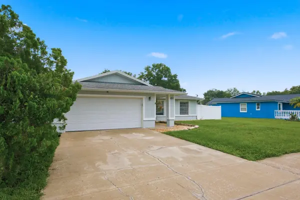 14309 ARBOR HILLS RD, Tampa, FL 33625