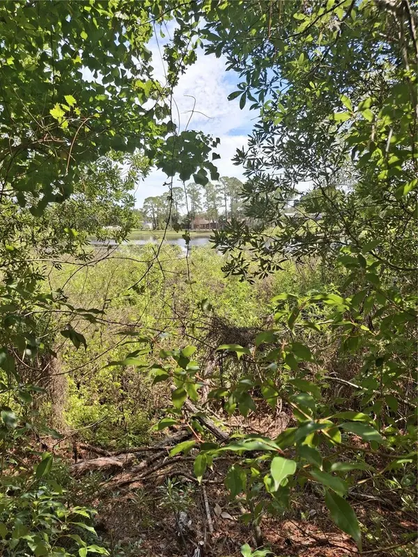 885 E LEHIGH DR, Deltona, FL 32738