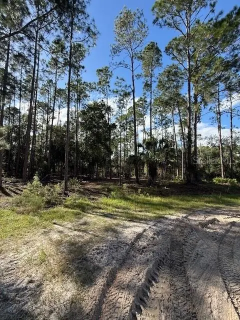 215 HIDEAWAY LN, Georgetown, FL 32139