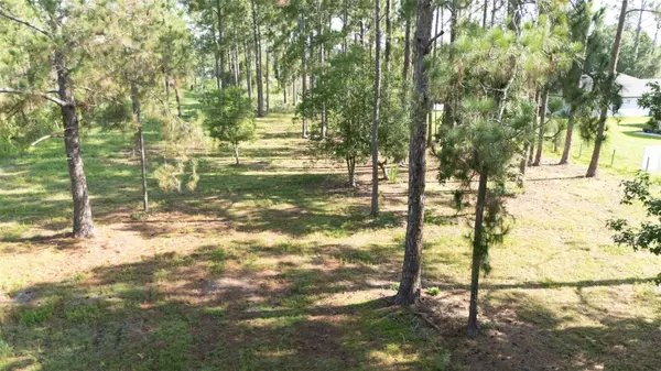 NO STREET, Deland, FL 32720