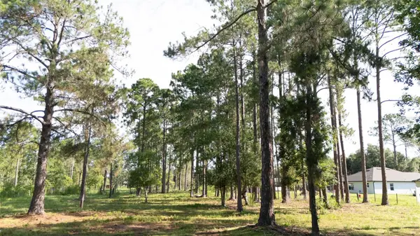NO STREET, Deland, FL 32720