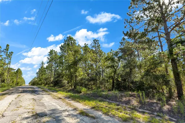LOTS 16 AND 17 SE 130TH CT, Dunnellon, FL 34431