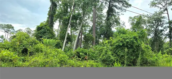 10TH AVE, Deland, FL 32724