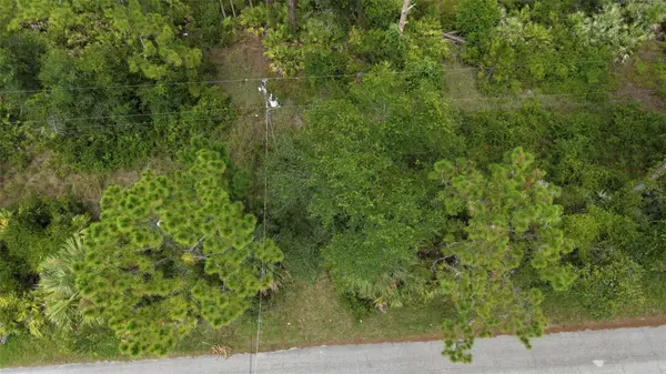 1715 TATUM BLVD, New Smyrna Beach, FL 32168
