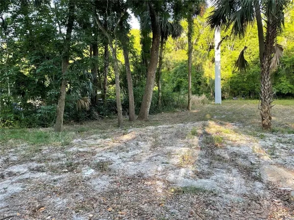 PARK AVE, De Leon Springs, FL 32130