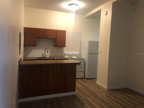 161 W 2ND AVE, Pierson, FL 32180
