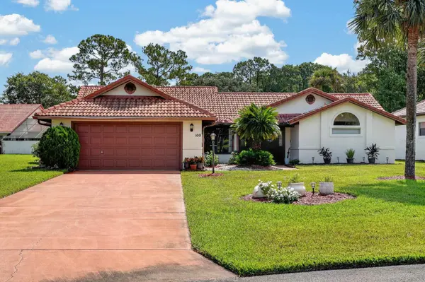 100 WATER TURKEY CT, Daytona Beach, FL 32119