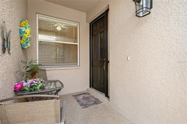 7307 CLEOPATRA DR, Land O Lakes, FL 34637