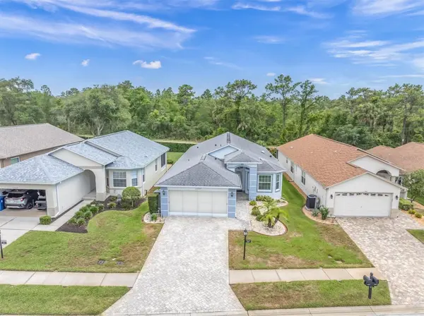 11250 HOLLANDER AVE, Hudson, FL 34667