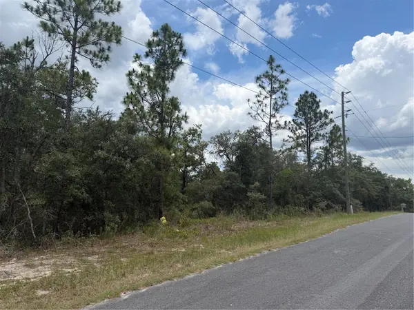 6215 S PREMIERE AVE, Homosassa, FL 34446
