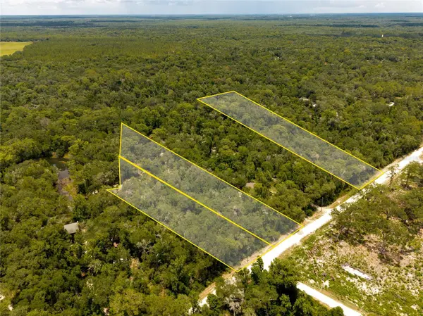 7353 RIVERVIEW DR, Webster, FL 33597