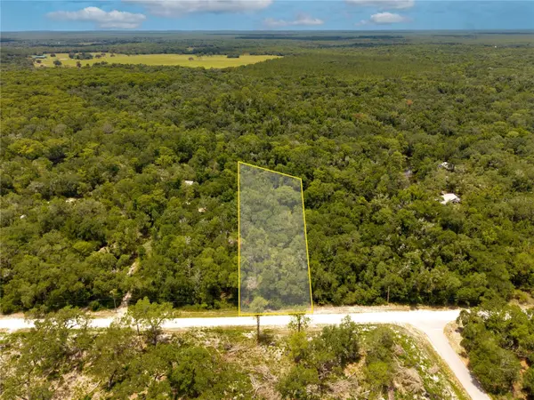 7353 RIVERVIEW DR, Webster, FL 33597