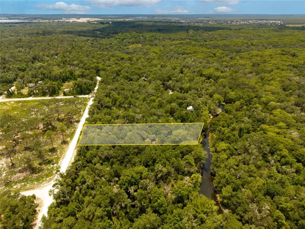 7353 RIVERVIEW DR, Webster, FL 33597