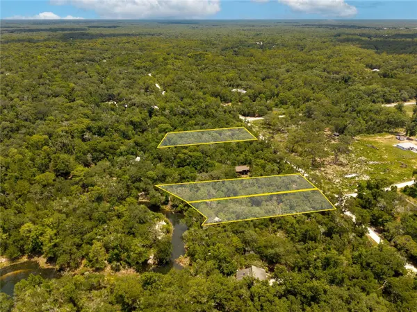 7333 RIVERVIEW DR, Webster, FL 33597