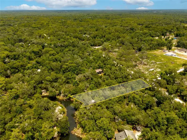 7333 RIVERVIEW DR, Webster, FL 33597