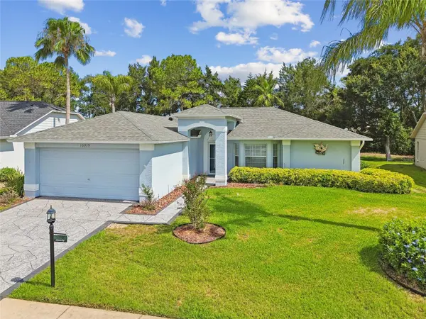10919 TRELAIN WAY, Hudson, FL 34667