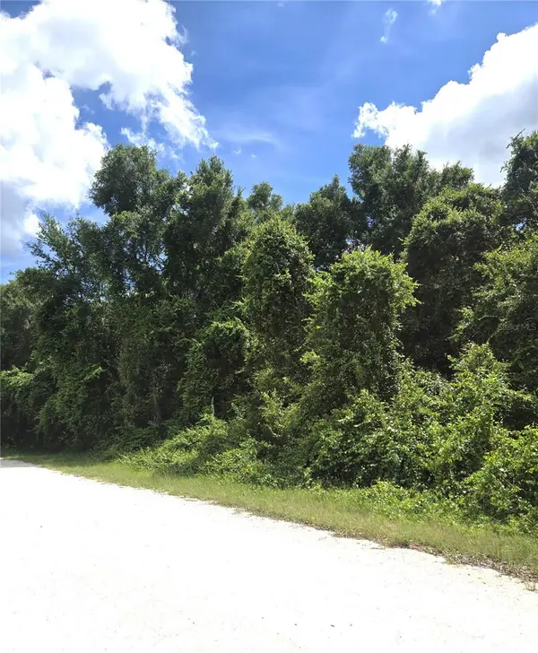ALLOY ST, Webster, FL 33597