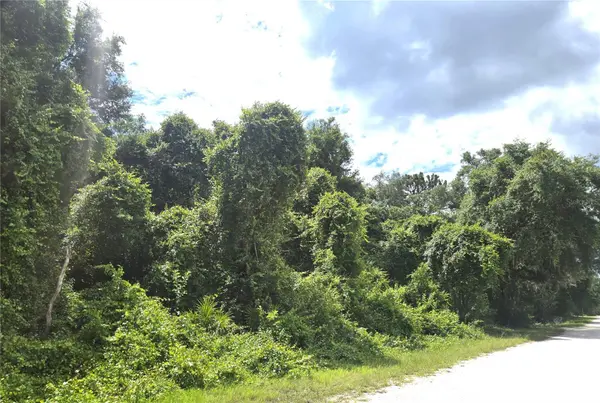 ALLOY ST, Webster, FL 33597