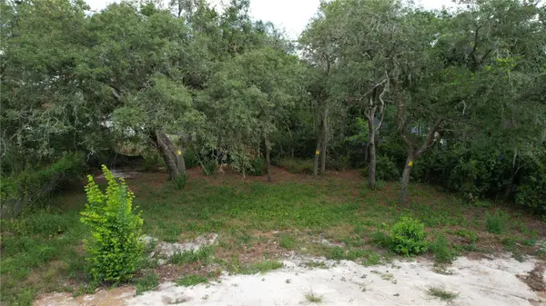 11406 POLO ST, New Port Richey, FL 34654