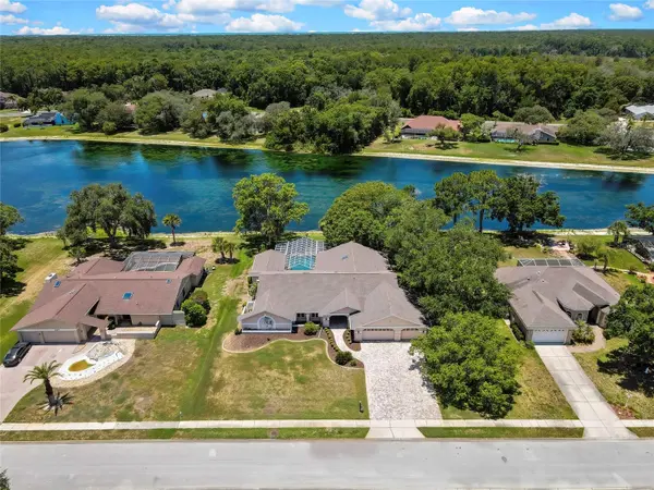 4293 RIVER BIRCH DR, Spring Hill, FL 34607
