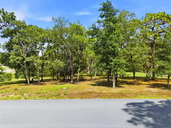 1228 STATEN AVE, Spring Hill, FL 34609