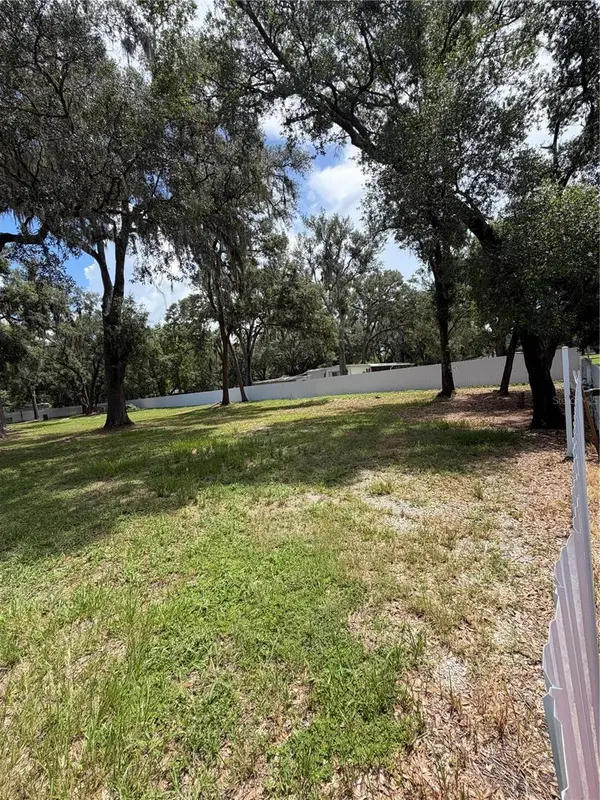 11310 BRIGHTRIDGE DR, Seffner, FL 33584