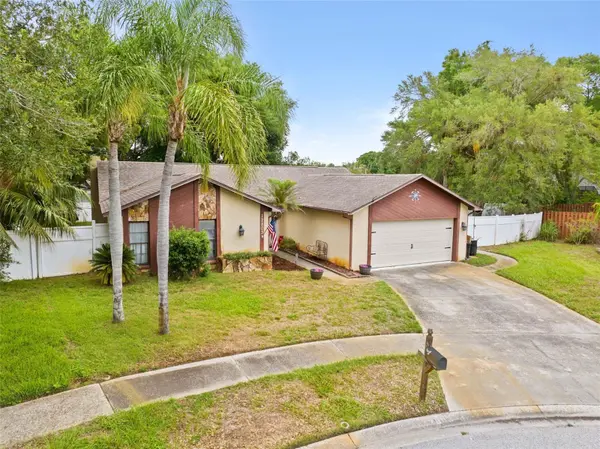 12803 RED MAPLE CT, Hudson, FL 34669