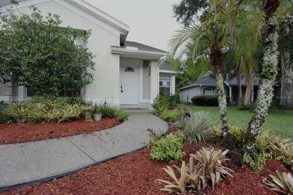 24449 PAINTER DR, Land O Lakes, FL 34639