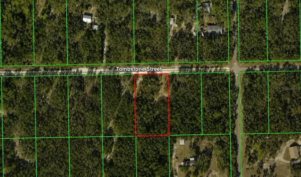 33240 TOMBSTONE ST, Webster, FL 33597