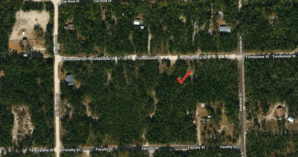 33240 TOMBSTONE ST, Webster, FL 33597