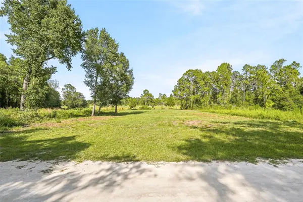 100 BERRYHILL DR, Webster, FL 33597