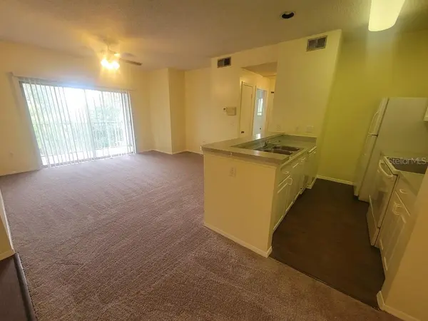 10020 STRAFFORD OAK CT #923, Tampa, FL 33624