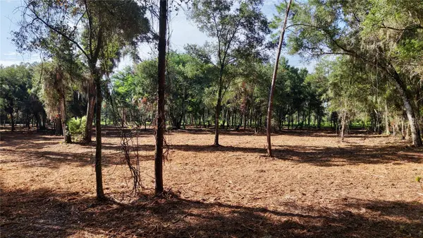 450A OLD GENEVA RD, Geneva, FL 32732