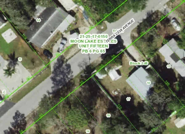 12350 TERRA CEIA AVE, New Port Richey, FL 34654
