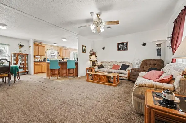 2205 HIBISCUS AVE, Middleburg, FL 32068