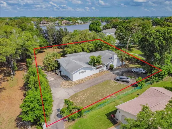425 CRAIG DR, Tarpon Springs, FL 34689