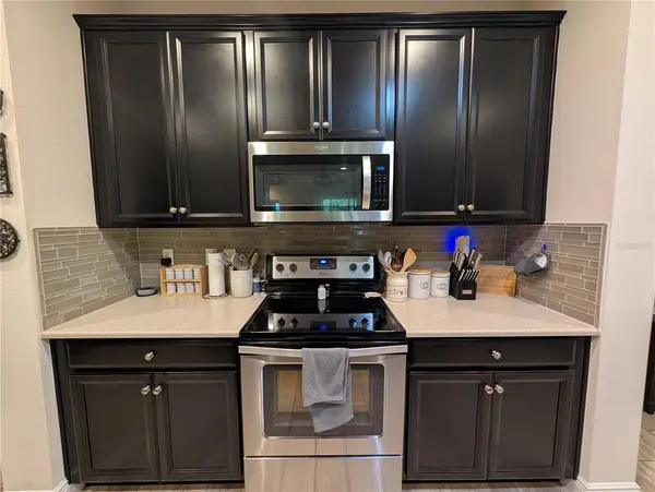 17849 ALTHEA BLUE PL, Lutz, FL 33558